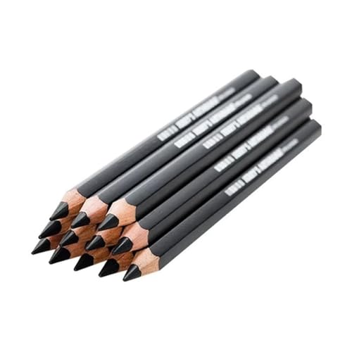 PNJB Set Of 12 Charcoal Drawing Pencils - Ideal For Sketching Shading & Creating Various Tones And Shades For Versatile Drawing Suitable For Artists Of All Levels (2 PACK)