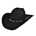 Bailey Western Dynamite 2X Hat Black, 7 3/4