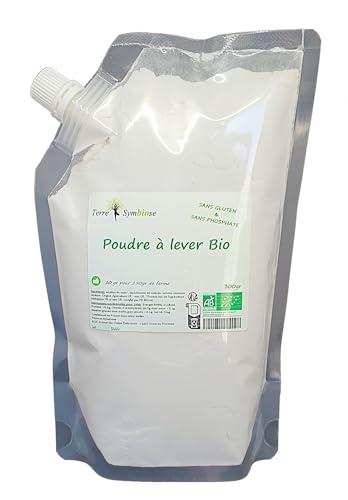 Poudre à lever Bio 300g