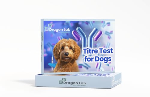 How long can a dog live with a ruptured spleen