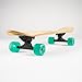 Sector 9 WindanSea Complete Skateboard - Factory Direct