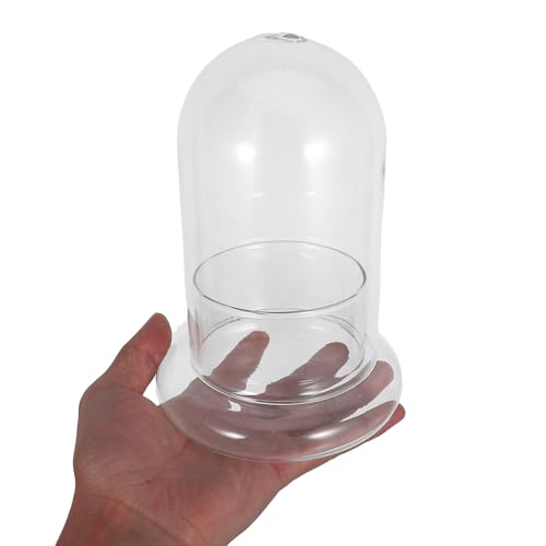 Botellas de vidrio de borosilicato COLLBATH para terrarios y micropaisajes con agujero de 8mm 5