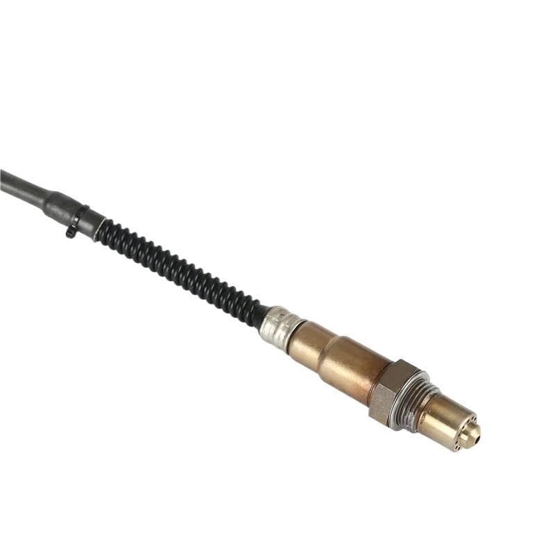Sensore di ossigeno per auto Per Holden per Commodore per VZ