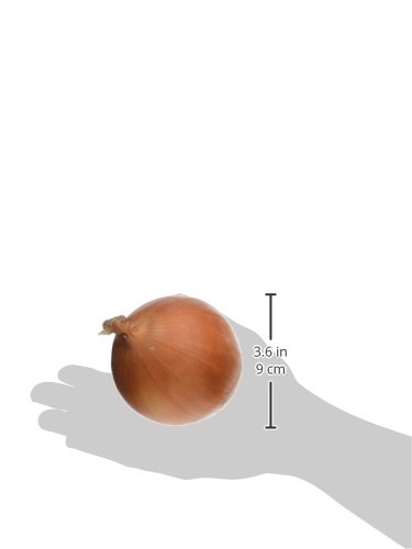Organic Sweet Yellow Onion, 1 Each
