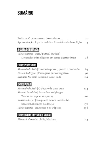 A parte maldita brasileira: Literatura, excesso, erotismo