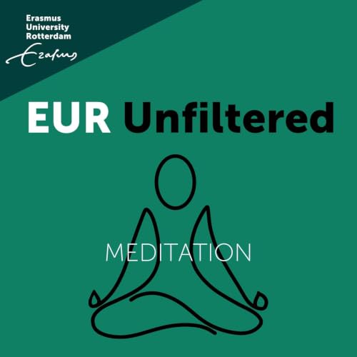 Couverture de MEDITATION - Every Step Counts