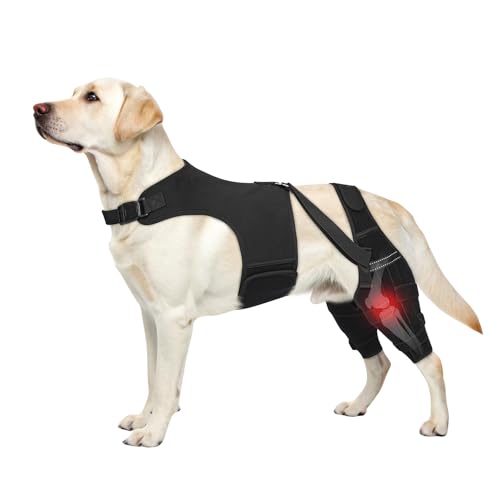 Image of Dog Knee Braces for Torn ACL Hind Leg, Adjustable Joint Brace Non-Slip | Double Leg Support with Vest,CCL Tear, Arthritis, Patella Luxating Recovery Cruciate Care for Small Medium Large Dog, L