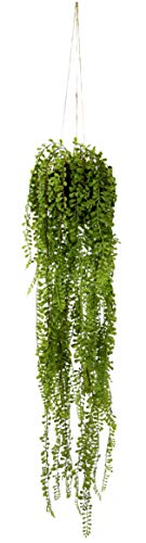 Künstlicher Senecio Hänger in Hängeampel auf Erdballen Grünpflanzen Kunstpflanze Pflanze Zimmerpflanze Seidenblumen Dekopflanze Deko Grün Erbse am Band Erbsenpflanze Perlenschnur Busch Sträucher