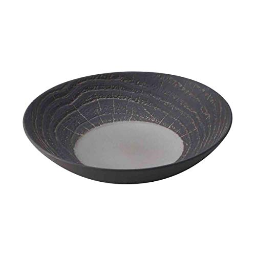Visiodirect Lot de 6 Assiettes Coupes Revol Abro Poivre - 24 cm