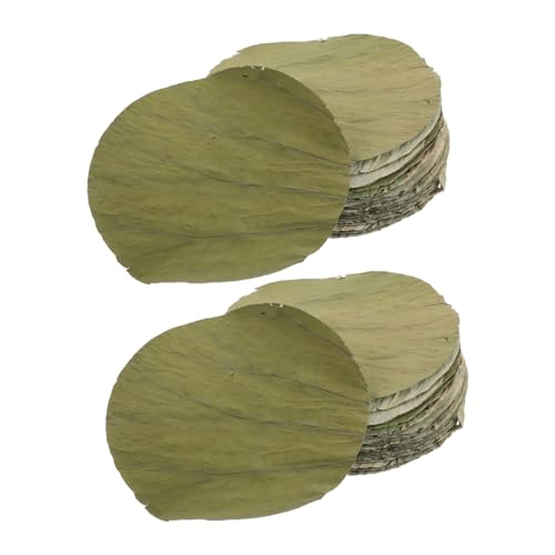 LEDMOMO 100 @ t i v[g Hp @ t p  i t Ci[ ی^  ی^ Ci[ 16Cm