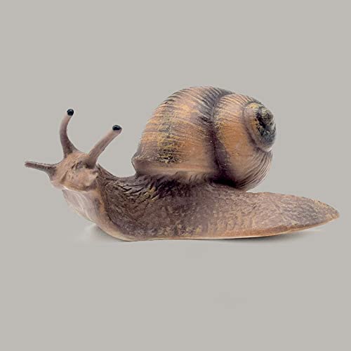 Rich Boxer 2 Pcs Snail Figurines Snail Model Miniature Snail For Fairy Garden Micro Landscape Decor #TOP5