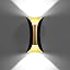 Black + Gold