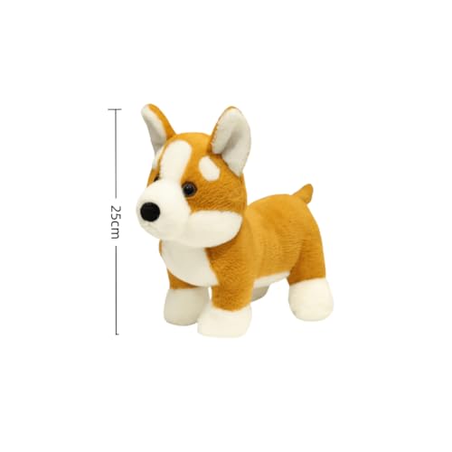EPRHAY 25cm Niedlicher Corgi Plüschtier Kuschelig Weiches Spielzeug Welpen Stofftier Fülltier Spielzeug Kissen Aufmerksames Geschenk Dekorative Plüschpuppe