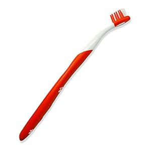 Nylabone 3 pack of advanced oral care cat dental kits  urban country home decor