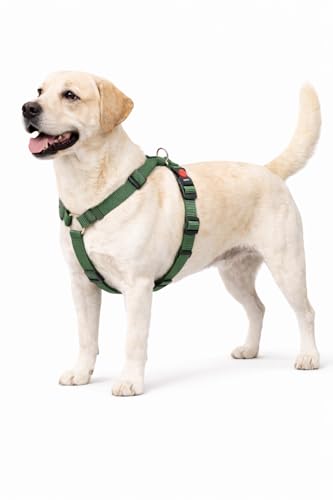 Harnais Chien - Harnais Ziggi Kaki H-Forme - Taille L - 60-85 cm / 70-100 cm - Nylon réglable - Anneau métal Nickel