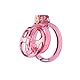 Silikon Peniskäfig Chastity Cage Männer Sissy mit 6 Verschieden Großen Ringen und Unsichtbaren Schlössern Weicher Keuschheitskäfig Herren ist Atmungsaktiv und Leicht Sexspielzeug (S,Pink)