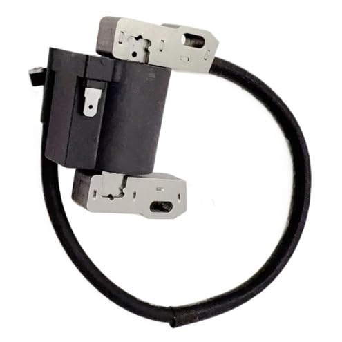 Bobine d'allumage pour moteurs Br St remplace 492341 et 495859