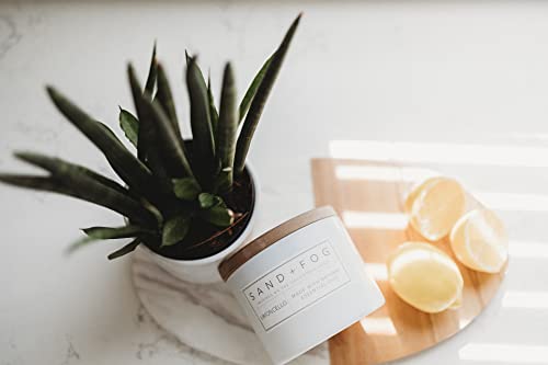 Sand-Fog-Scented-Candle-Mango-Tangerine–Additional-Scents-and-Sizes–100-Cotton-Lead-Free-Wick-Luxury-Air-Freshening-Jar-Candles-Perfect-Home-Decor–12oz Sand Fog Scented Candle Mango Tangerine–Additional Scents and Sizes–100 Cotton Lead Free Wick Luxury Air Freshening Jar Candles Perfect Home Decor–12oz