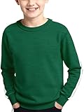 Haloumoning Boys Striped Long Sleeve Sweater Kids Fashion Crewneck Knit Pullover Fall Clothes 5-14Y Green