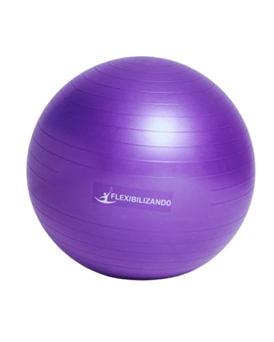 Bola de Pilates, Bola Suiça, Bola de Yoga 55cm ou 65cm com Inflador (65cm)