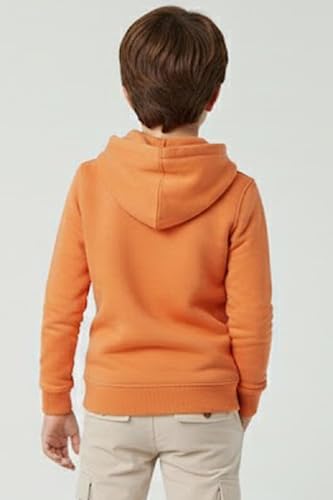 Image of Boys Hooded Sweatshirt, America Print, Cotton Blend, Long Sleeve, Navy Blue /Pink /Orange, Regular Fit
