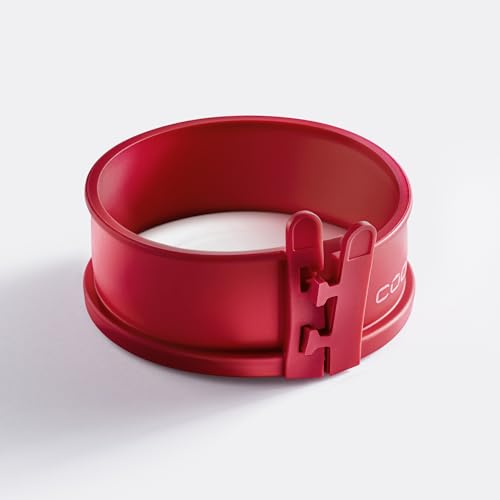 coox Teglia apribile con piatto in porcellana da 12 cm, in silicone con piatto da portata in porcellana, stampi da forno, piccoli dolci, ideale per dessert personalizzati