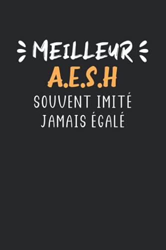 livre Meilleur aesh souvent imité jamais égalé: Carnet de notes aesh humour - 110 pages lignées - cadeau aesh original Accompagnant des Elèves en Situation de Handicap