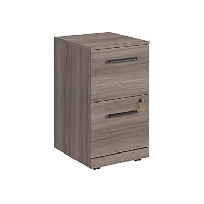 Filing Cabinet for Home Office, 2-Drawer Mobile File Cabinet with