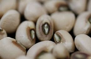 Seed Kingdom Black Eye Pea Seeds