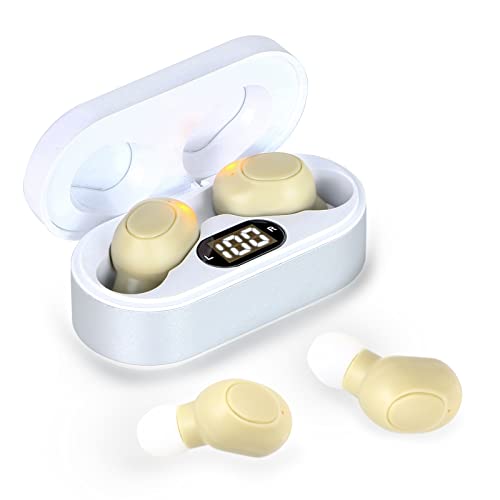 Rechargeable Hearing Aids for Seniors & Adults, Hearing Amplifiers In