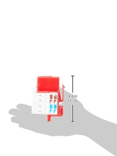 Intellinet Cat6 RJ45 Keystone Jack para Cable UTP Cat 6 miniatura 6