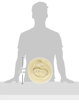 パナソニック ラフィーネ 新品便座カバー付き Amazon.co.jp: [パナソニック] ポータブルトイレ ラフィーネ