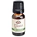 FIR Needle 100% Pure, Undiluted Essential Oil Therapeutic Grade - 10 ml. Great for Aromatherapy!