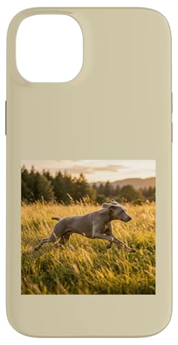 Weimaraner �����j���O���h�E �T���Z�b�g �t�B�[���h �V�[�� �X�}�z�P�[�X iPhone 14 Plus �p