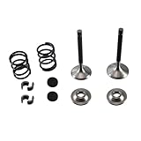 Stainless Steel Valve with Titanium Retainers & 26lb Springs kit for Predator 212cc Hemi and New Non-Hemi Engines