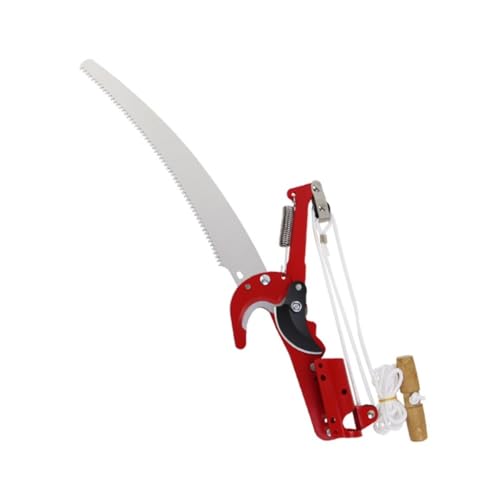 Lopres}؂oT~ }oT~Zbg [v }؂mRM 4.5M Lk K[fjOpi  ʎ̎p } nT~ |p y (}intj)