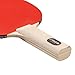 STIGA Beginner Ping Pong Paddles - Recreational to Performance Table Tennis Rackets Ages and Skill Levels - Multiple Styles + Performance Levels Available