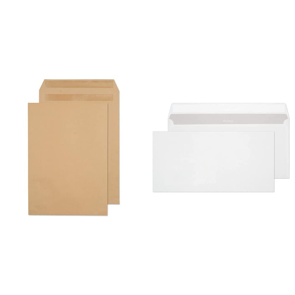 Blake 13878 Pack de 250 Enveloppes Manilla & Purely Everyday DL - 110 x 220 mm 90 g/m² Enveloppes Bande Adhésive (22772) - Boîte de 500