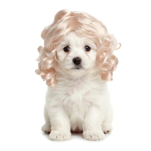 Peluca rubia para perros pequeña Elastic Bands miniatura 7