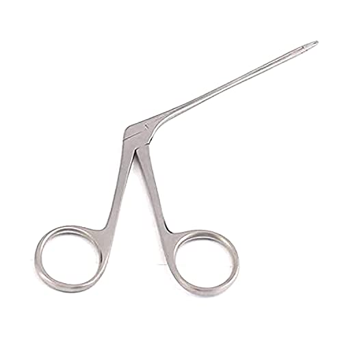 G.S - Forceps - Alligator, 3.5 inches Stainless Steel
