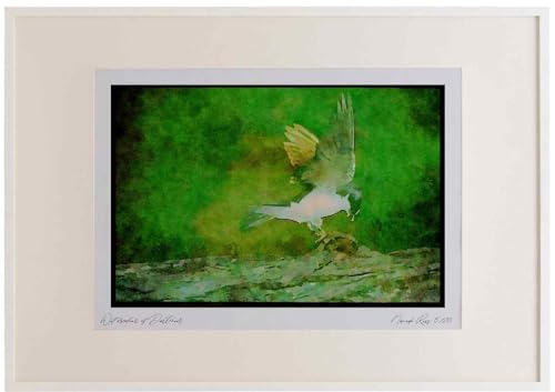 163039 Tree Swallow With Bug Watercolour A3 Picture Frame Limited Edition A4