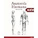 AnatomÃ­a Humana