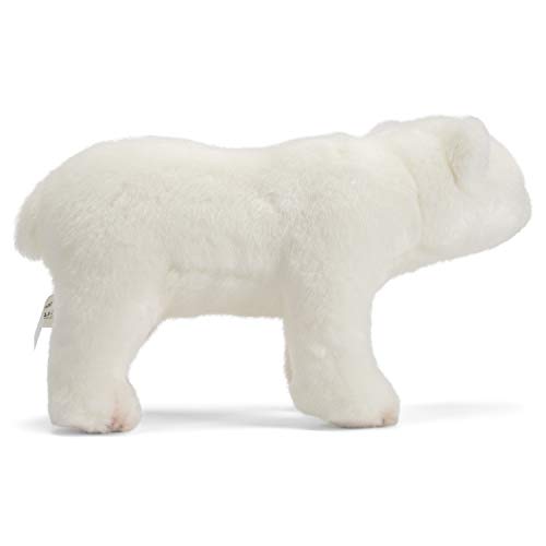 DEMDACO Polar Bear Cuddly Classic White 10 inch Children's Soft Plush Stuffed Animal Toy - Image 4