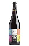  Trénel Beaujolais Nouveau 2021, Vino, Tinto Joven, Beaujolais, Francia
