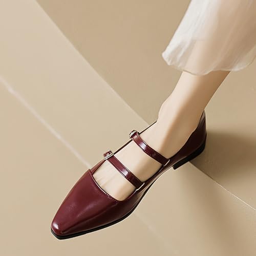 Women's Leather Pointed Toe Retro Double Strap Mary Janes,Adjustable Buckle Low Heel Flats Fashion Comfortable Dress Shoes 6