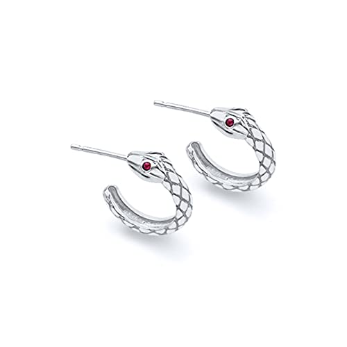 JQQJZLC Pendientes de Serpientes para Mujeres Pencas pequeñas Pendientes Pendientes Pendientes