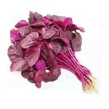 Creative Farmer Lal Cholai Hybrid Seeds (B017G3PW6A) Amazon Price History, Amazon Price Tracker
