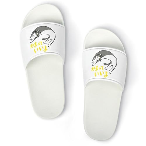 [BAKYAR] dL Xbp  T_ jp y ~  OJ 􂦂 qp p Jbv ItBXp v[g ʔNKp 41 (255mm)