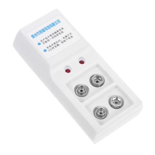 LRXIYODE Cargador de Baterías Recargables Compacto Carga Rápida y Estable con Indicador LED y Doble Ranura para Cargar Dos Pilas Simultáneamente