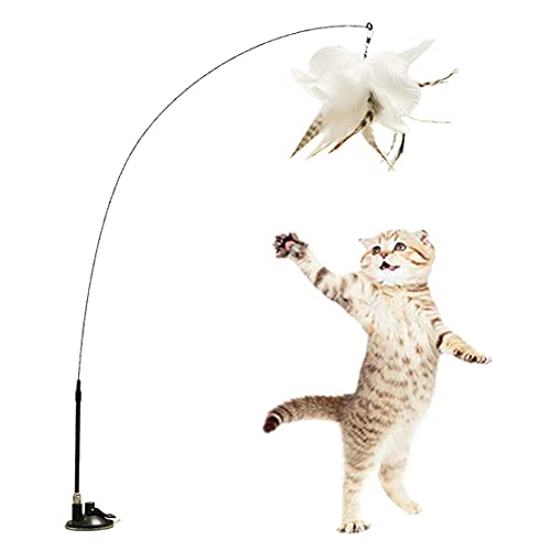DUJIAOSHOU Brinquedos de Penas para Gato, Brinquedo Interativo para Gato, Palito de gato engraçado c